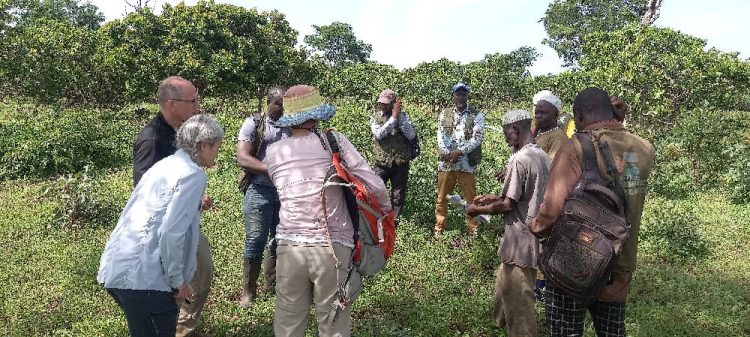 Projet de restauration durable des forêts dans la CR de Samana ;Restaurer durablement les forêts de Samana : une initiative communautaire porteuse d’avenir