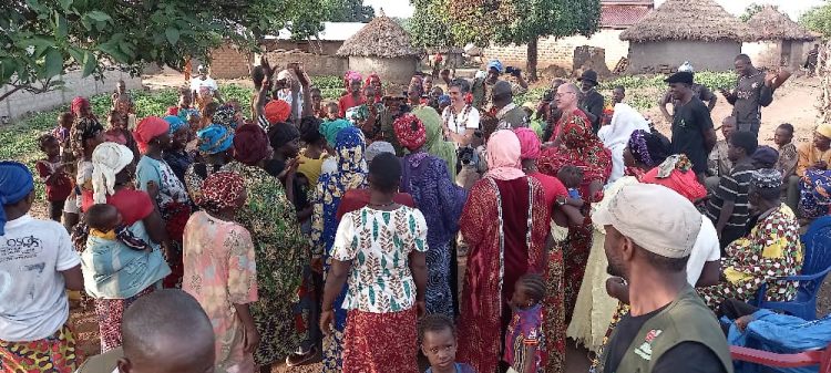 Reboisement participatif à Linko : la mission d’évaluation se poursuit à Kofilakoro