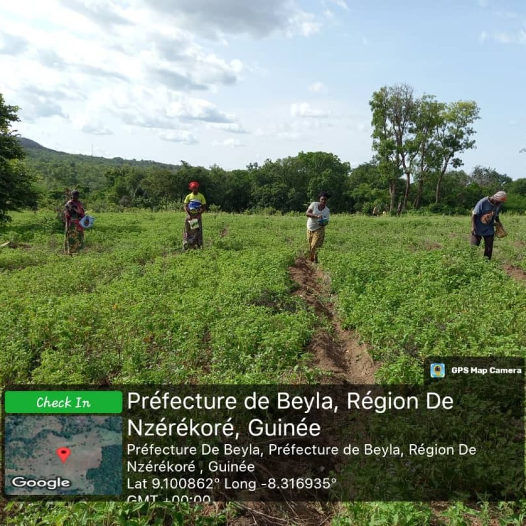 b40c595d-5025-463d-a559-cfb28ab7e262