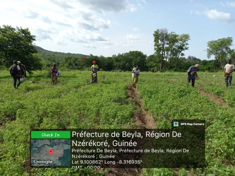 b40c595d-5025-463d-a559-cfb28ab7e262