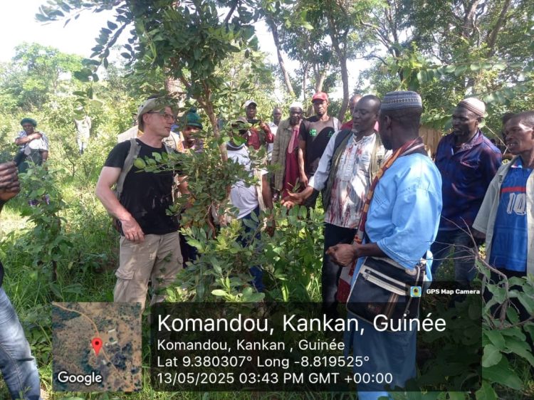 Clôture de la formation des membres du CGC à Linko : la théorie renforcée par une mise en pratique sur le terrain