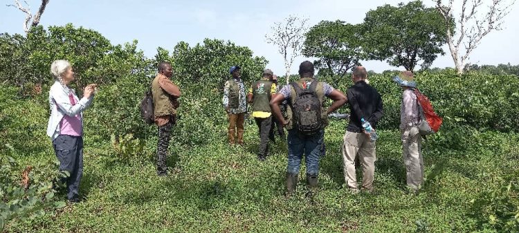 eebd9acd-873e-4aa6-835f-19b2ad02c430