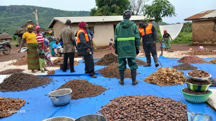 f2c253e6-21bb-4a25-ab50-41bebd7366c1