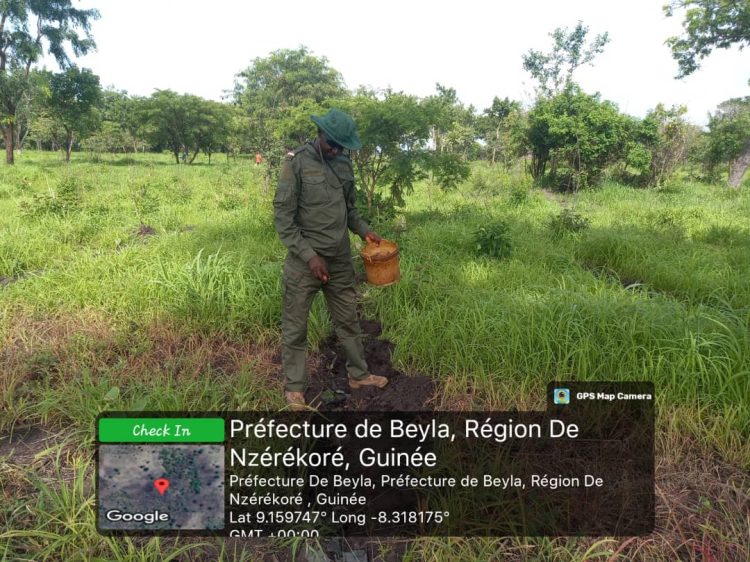 Avancement significatif du projet de reforestation dans la zone de Diassodou – Karala – Thiéwa