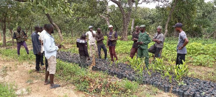 Mission d’évaluation du projet AgriFARM dans le sous-bassin versant de Soron, Commune rurale de Nantanina, Préfecture de Mandiana