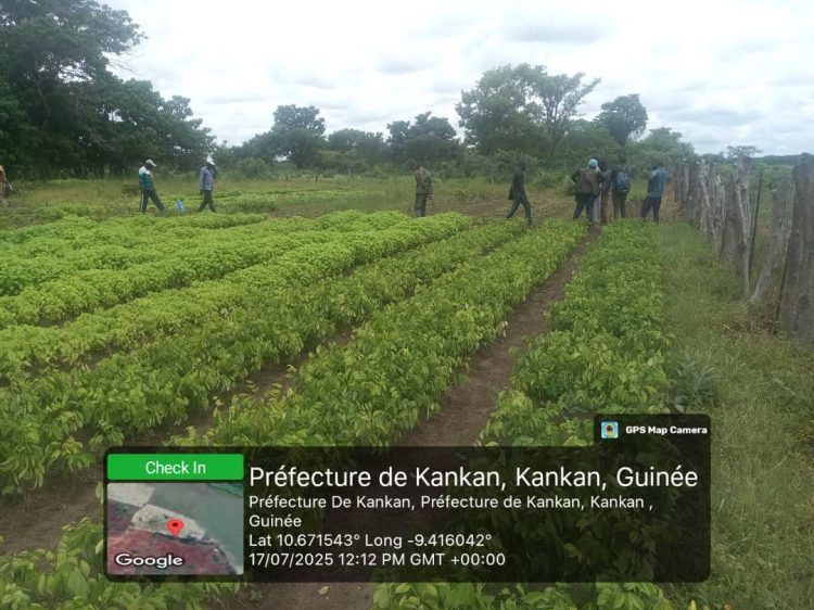 Étape d’évaluation du projet AgriFARM dans le sous-bassin versant de Selen-Moussaya, Commune rurale de Batè Nafadji, Préfecture de Kankan