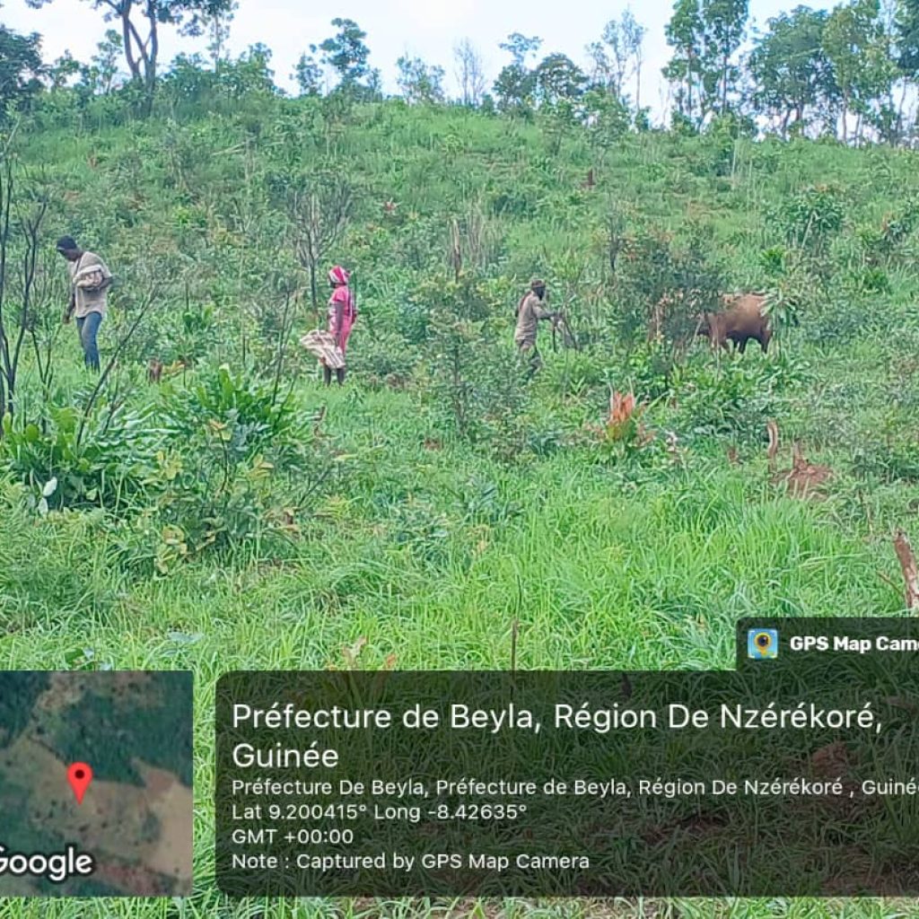 5c4f8a31-d2b1-4fd4-a598-4b033557e1cd