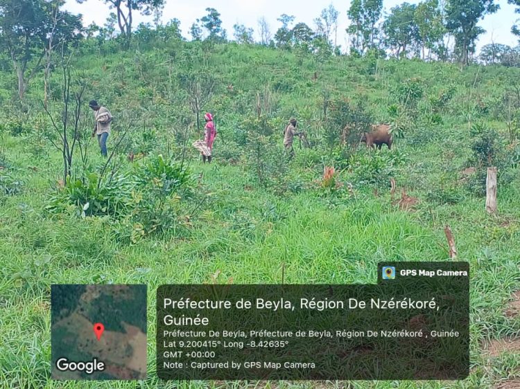 5c4f8a31-d2b1-4fd4-a598-4b033557e1cd