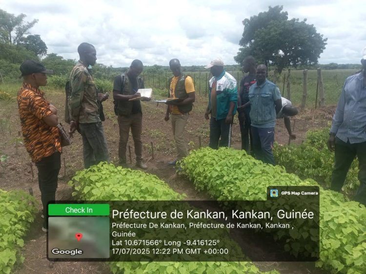 73e0fa08-d9cd-488d-be6b-b8d6eccee68e