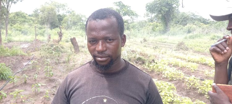 Mission d’évaluation du projet AgriFARM dans le sous-bassin versant du district de Madina, Commune urbaine de Kérouané