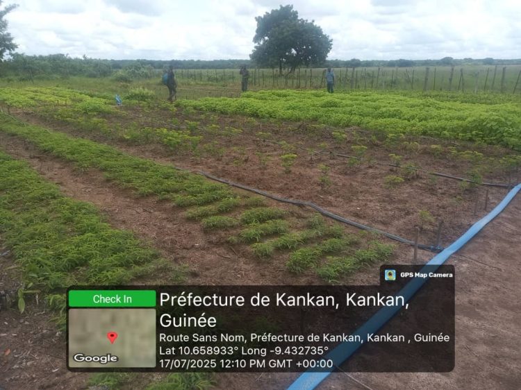 Étape d’évaluation du projet AgriFARM dans le sous-bassin versant de Selen-Moussaya, Commune rurale de Batè Nafadji, Préfecture de Kankan
