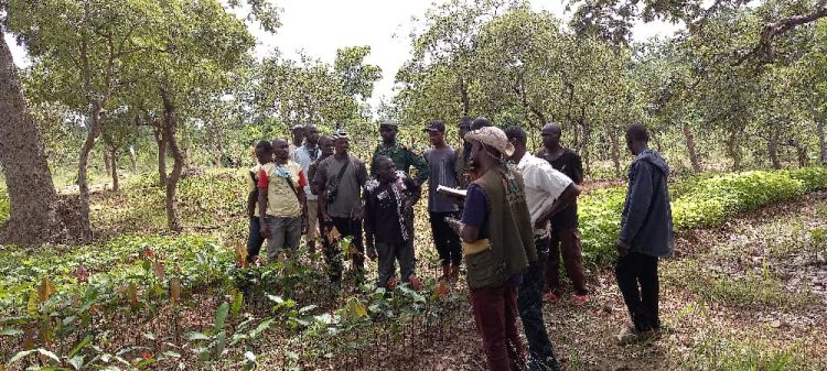 Mission d’évaluation du projet AgriFARM dans le sous-bassin versant de Soron, Commune rurale de Nantanina, Préfecture de Mandiana