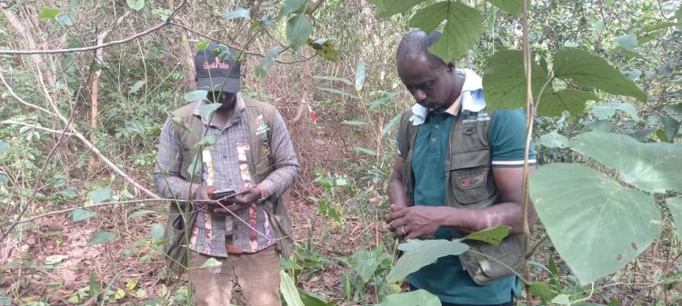 GUIDRE renforce l’appui technique aux superviseurs du projet arboRise à KALA