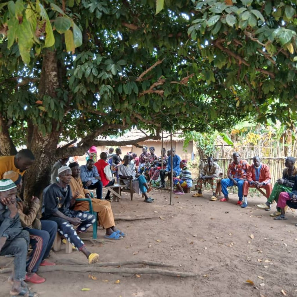 1e866378-8c74-436d-bd98-300495201e11