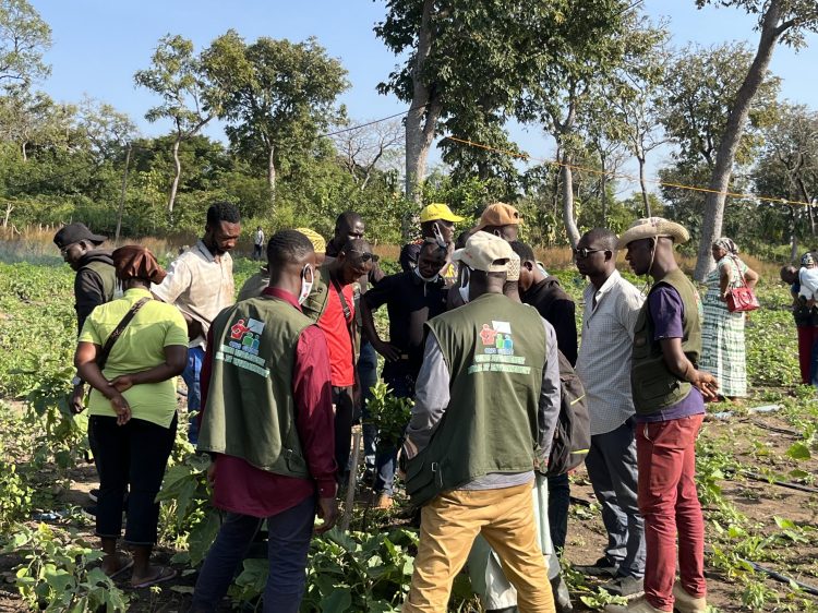 Célébration des 25 ans de GUIDRE : une journée dédiée au reboisement et à la durabilité environnementale