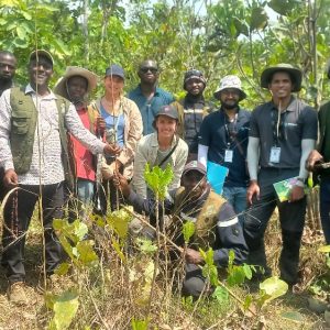 0eb1ed42-b892-4f55-8e00-9975eb715c47