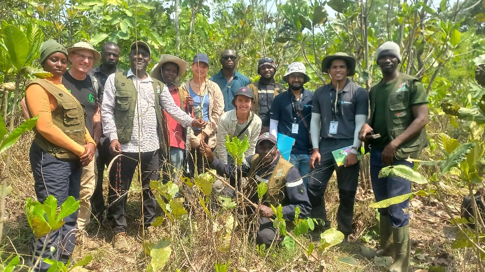 0eb1ed42-b892-4f55-8e00-9975eb715c47