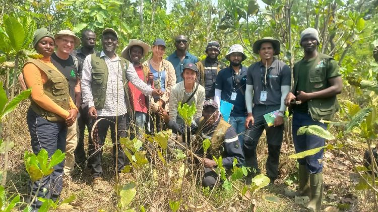 Visite de placette dans le district de Forono : une étape importante dans la mise en œuvre du projet ARBORISE-GUIDRE