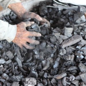 443987F1-2B30-4EBE-8C49-8AD6099ABA27