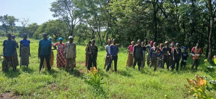 Lancement de la phase d’ensemencement des jachères dans la zone de Damaro : une mobilisation communautaire au service de la restauration des paysages