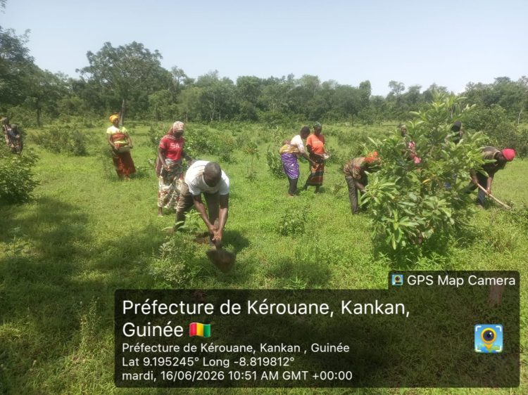 Lancement de la phase d’ensemencement des jachères dans la zone de Damaro : une mobilisation communautaire au service de la restauration des paysages