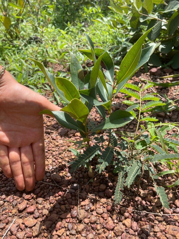 Immersion terrain : une expérience enrichissante au sein du projet ArBoRiSe-GUIDRE